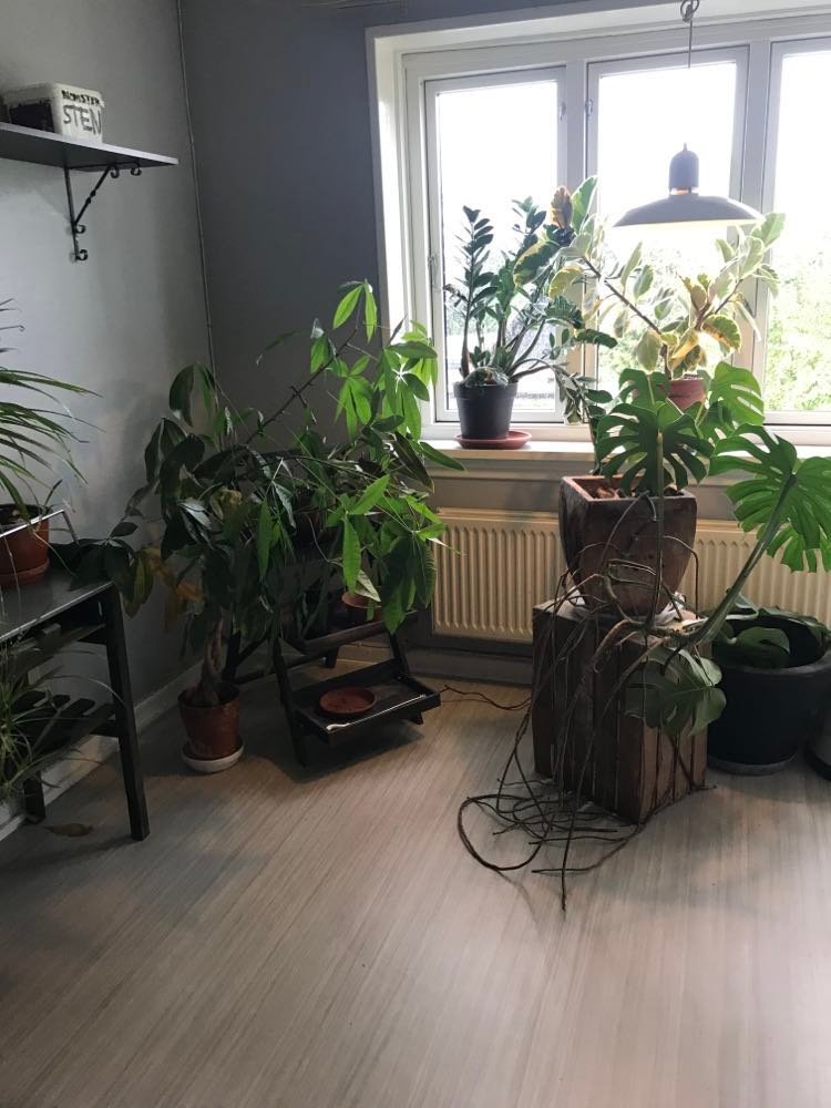 Planter